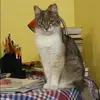 Отзыв от Лидия Поликарпова